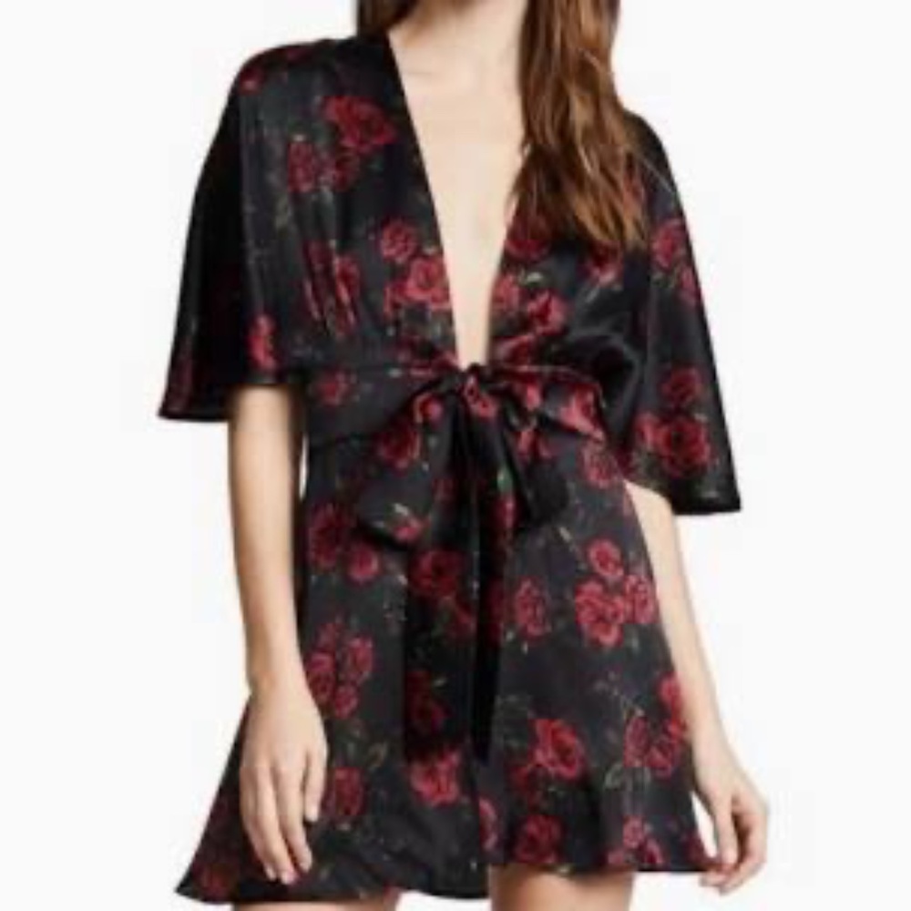 Cami NYC 100% Silk Black Red Rose Floral Mini Dress Sz S